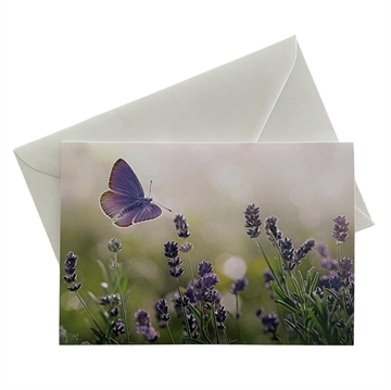 Blomsterkort, lavendler - inkl. kuvert